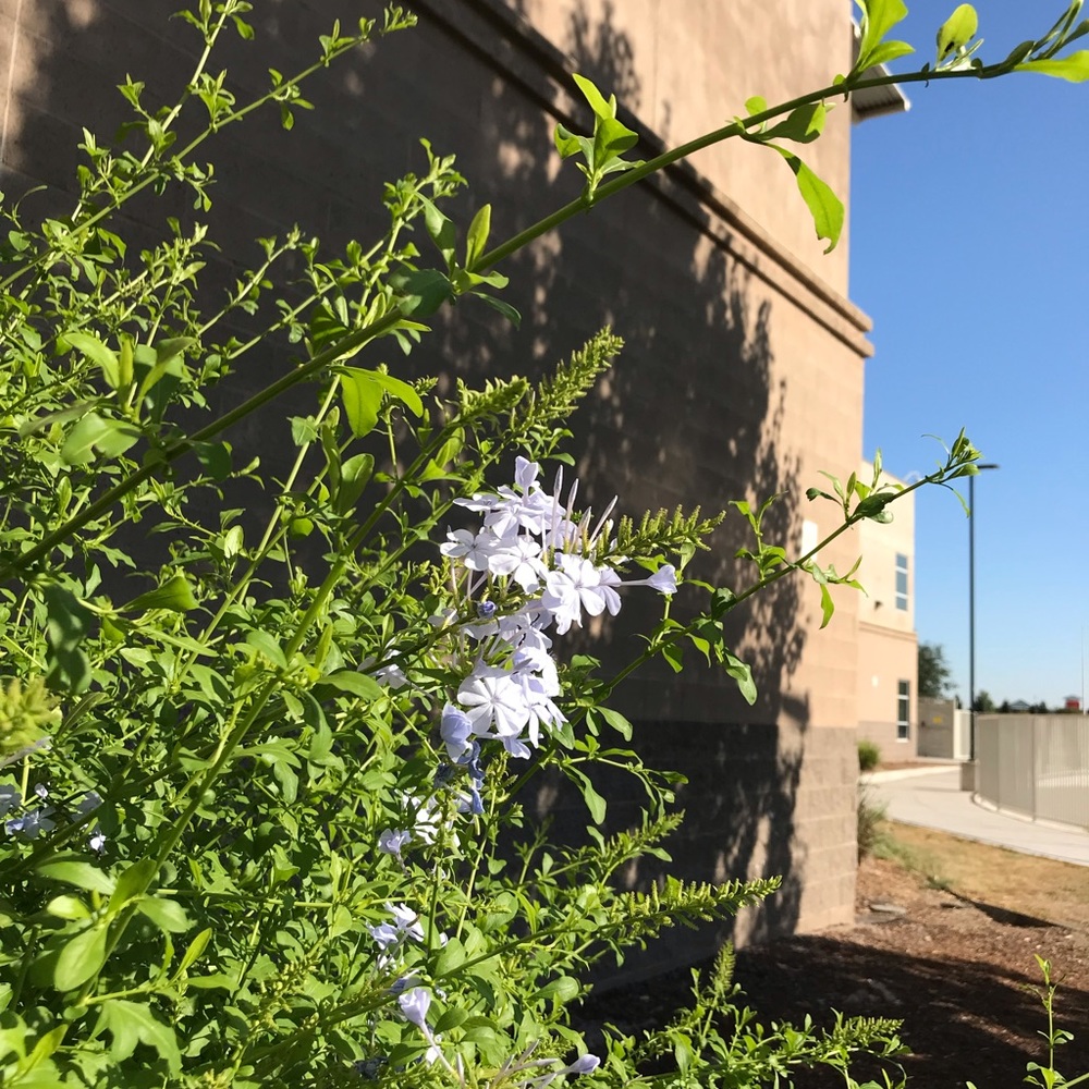 Meet your Posher, Aylin